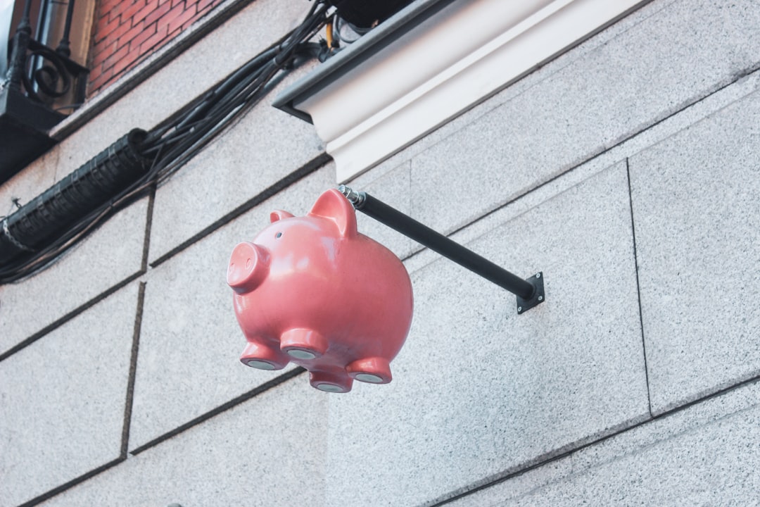 Nowe metody mikroszczędzania: oszczędzaj i inwestuj więcej! 13 Photo Piggy bank