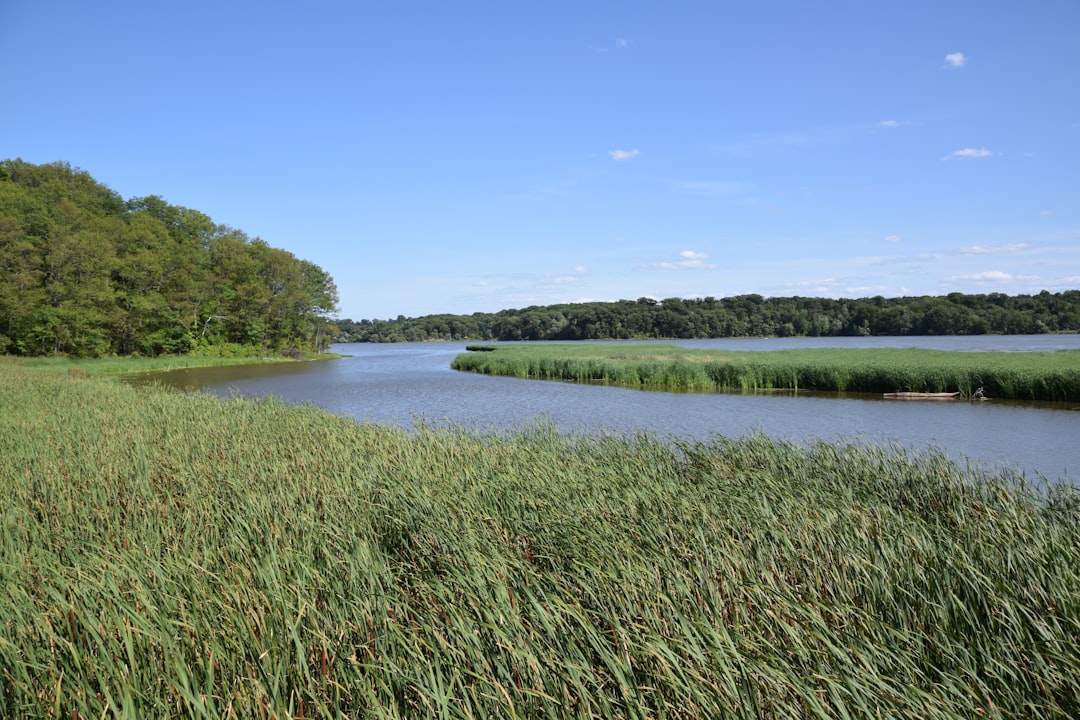 Photo water conservation